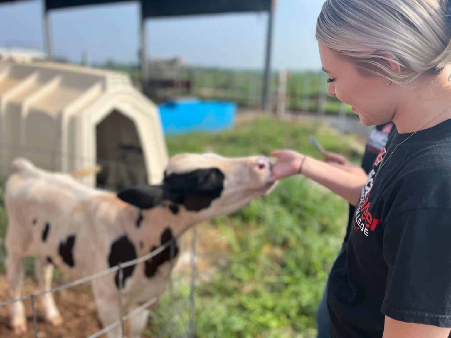 What You Can Do with Veterinary Assistant Certification