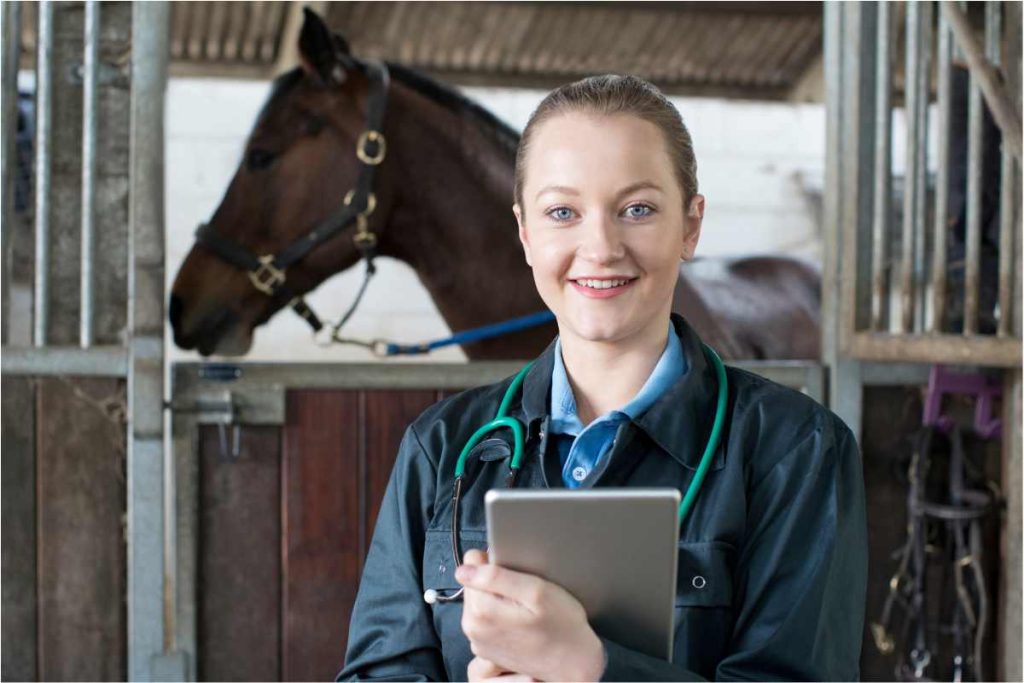 A veterinary assistant helping an equine vet tech examine a horse near Richmond, Kentucky (KY)